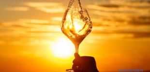 Ужгород будет угощать молодым вином