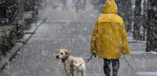 Дождь, снег и немного гололедицы: синоптики рассказали, что ожидает Украину в выходные