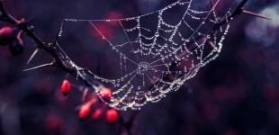 В Украине сегодня будет дождь, воздух прогреется до +13°