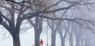 Тумани накриють усі регіони України, вночі - до 4° морозу