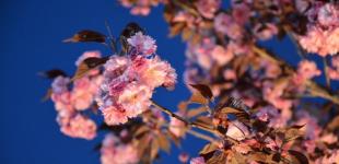 В Украину идет тепло до +24°