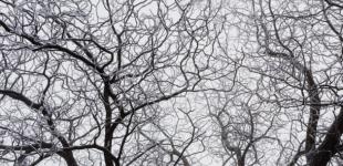 Значительное похолодание идет в Украину