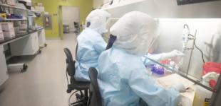 Вспышка коронавируса началась в научной лаборатории города Ухань - СМИ