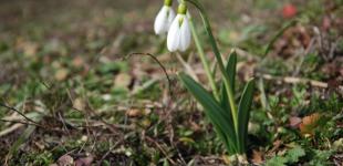 Синоптики сказали, каким будет первый день весны