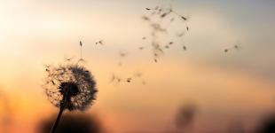 В Украине объявили штормовое предупреждение