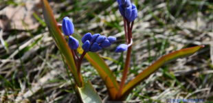 2 травня в Україні вночі на поверхні ґрунту можливі заморозки, вдень до 20° тепла