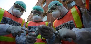 Насекомые, чеснок и “купание” в спирте: ВОЗ опровергает мифы о коронавирусе