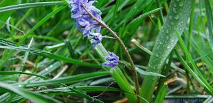 Погода на Пасху: до +18°, но возможен дождь