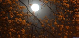 Фазы Луны влияют на продолжительность и качество сна