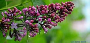 Украине прогнозируют грозы, шквалы и заморозки