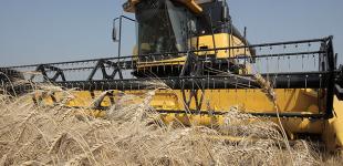 В Минагро рассказали, распространяется ли рынок земли на прифронтовые территории