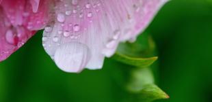 В столице метеорологическое лето 