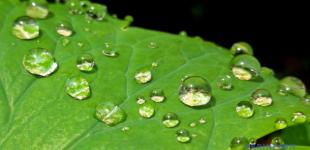 В Украину идут дожди, но жара не отступает