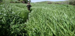 Украинские миротворцы ООН прибывают на Донбасс для контроля за соблюдением «тишины»