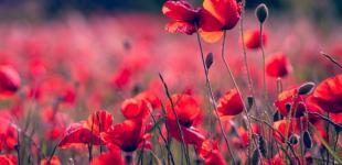 В Украину идет кратковременное похолодание