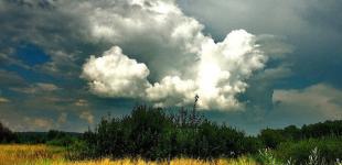 До +30° и немного дождей: как начнется новая неделя