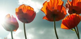 Жара вернется на выходные, потом снова дожди