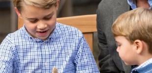 Мальта требует от Британии вернуть ей зуб мегалодона, подаренный 7-летнему принцу