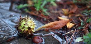 Украине прогнозируют потепление до + 22° и небольшие дожди