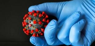 Иммунитет после COVID-19 сохраняется не менее пяти месяцев