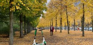 Українців чекає тиждень «бабиного літа»