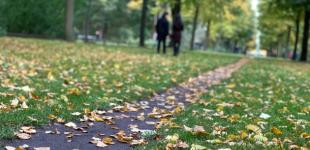 Украине прогнозируют теплую и солнечную субботу