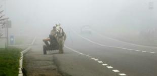 Туманы и до +10°: где тепло продержится до конца ноября