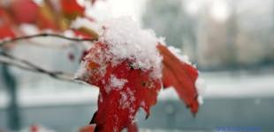 В Украине ожидаются дожди с морозами и +9° с туманом
