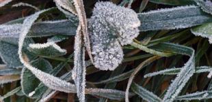 От -12° до +12°: Украину на выходные ждут температурные «качели»