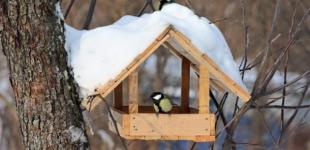 Снежок, туман и гололедица - что ждет украинцев