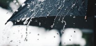 Новая неделя принесет в Украину до 13° тепла, местами дожди