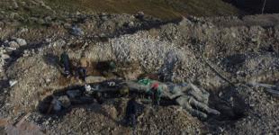 На Лесбосе нашли окаменелое дерево, которому 20 миллионов лет