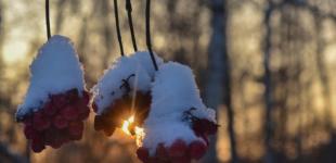 Синоптики прогнозируют морозы до 15°