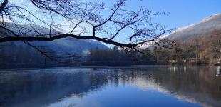 Вскоре Украину прогреет до +18°: где будет теплее всего