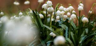 23 травня в Україні без істотних опадів, вдень до +19°