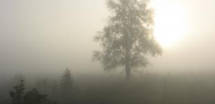 Густой туман накроет почти всю Украину
