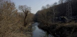 В Киеве планируют расчистить русло реки Лыбидь