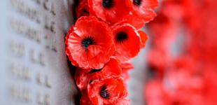 8 мая, в Украине отмечается День памяти и примирения