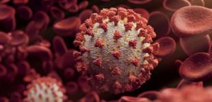 В ВОЗ говорят, что Delta-штамм не смертельнее других вариантов COVID-19