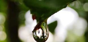 Спека відступає - дощі йтимуть до кінця тижня