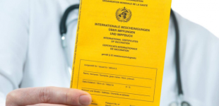 Пограничники за месяц обнаружили более 500 недействительных COVID-сертификатов