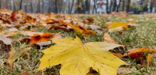 В Україні 13 листопада утримається суха погода, вдень до 13° тепла