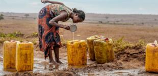 Останні сім років були найспекотнішими в історії спостережень - кліматологи ЄС