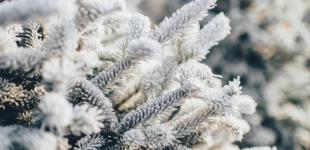 От 15° мороза до 7° тепла: Украине прогнозируют температурные «качели»