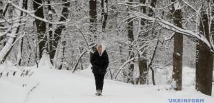 Снегопад по всей Украине и легкое потепление: погода на 28 января