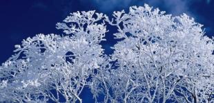 Узимку морози не будуть тривалими – Укргідрометцентр