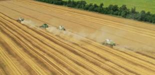 На Одещині розпочалися жнива