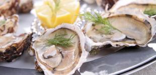Все, что нужно знать об устрицах современному человеку