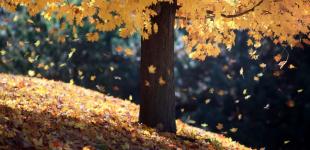 Що чекає на українців від 1 листопада 2022 року