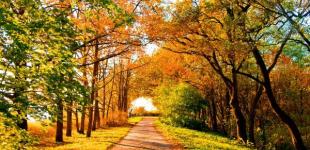 Солнце и до +25, но так повезет не всем: какой будет погода в четверг